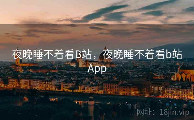夜晚睡不着看B站，夜晚睡不着看b站App