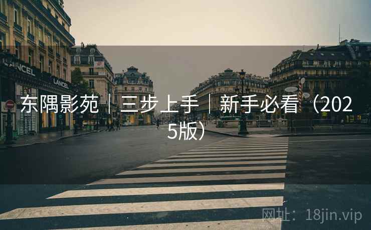 东隅影苑｜三步上手｜新手必看（2025版）