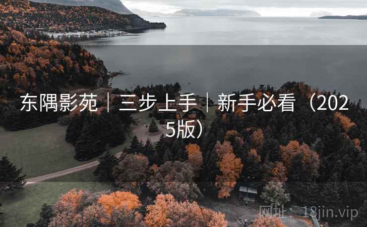 东隅影苑｜三步上手｜新手必看（2025版）